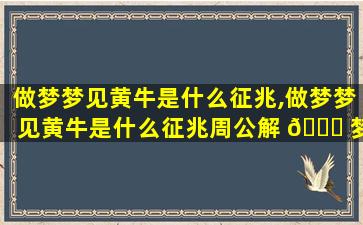 做梦梦见黄牛是什么征兆,做梦梦见黄牛是什么征兆周公解 🐕 梦